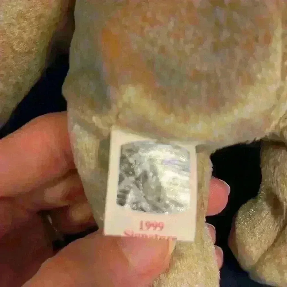 1999 Signature Bear Ty Beanie Baby